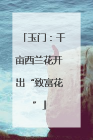 玉门：千亩西兰花开出“致富花”