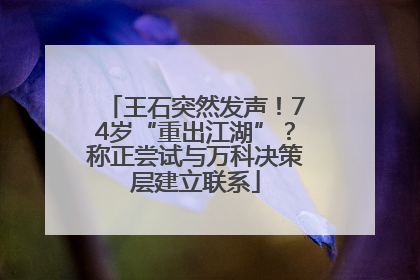 王石突然发声！74岁“重出江湖”？称正尝试与万科决策层建立联系