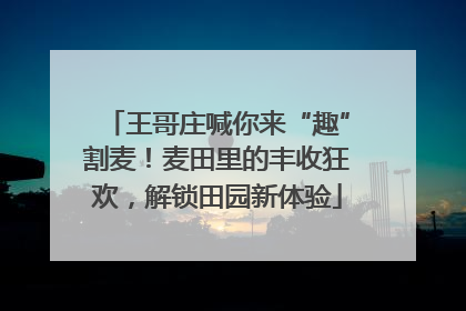 王哥庄喊你来“趣”割麦！麦田里的丰收狂欢，解锁田园新体验