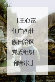 王心富任广西壮族自治区党委组织部部长