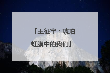 王征宇：琥珀虹膜中的我们
