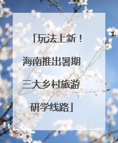 玩法上新！海南推出暑期三大乡村旅游研学线路
