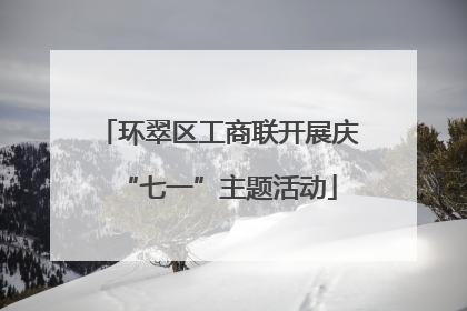 环翠区工商联开展庆“七一”主题活动