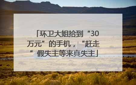 环卫大姐拾到“30万元”的手机，“赶走”假失主等来真失主