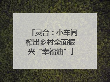 灵台：小车间榨出乡村全面振兴“幸福油”