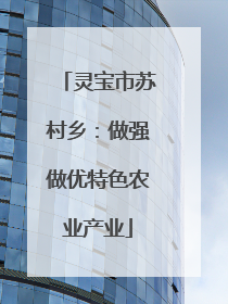 灵宝市苏村乡：做强做优特色农业产业