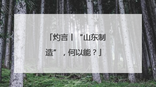 灼言丨“山东制造”，何以能？