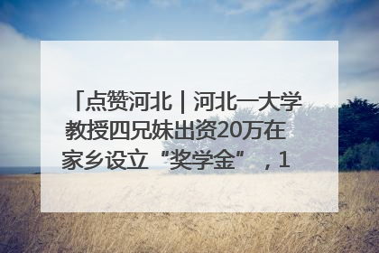 点赞河北｜河北一大学教授四兄妹出资20万在家乡设立“奖学金”，13年为320名农村学生种下“希望的种子”
