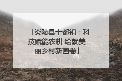 炎陵县十都镇：科技赋能农耕 绘就美丽乡村新画卷