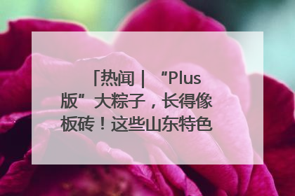 热闻｜“Plus版”大粽子，长得像板砖！这些山东特色粽子你吃过吗？