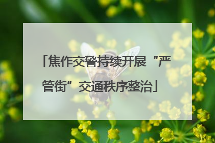 焦作交警持续开展“严管街”交通秩序整治