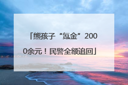 熊孩子“氪金”2000余元！民警全额追回