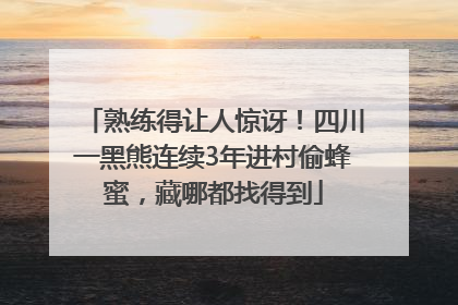 熟练得让人惊讶！四川一黑熊连续3年进村偷蜂蜜，藏哪都找得到