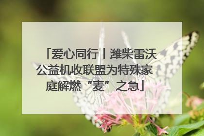 爱心同行丨潍柴雷沃公益机收联盟为特殊家庭解燃“麦”之急