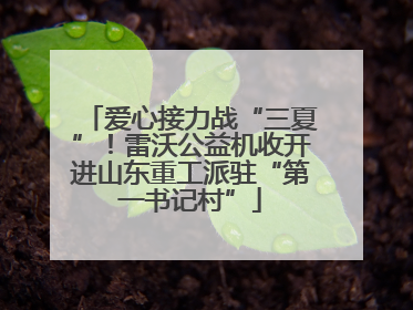 爱心接力战“三夏”！雷沃公益机收开进山东重工派驻“第一书记村”