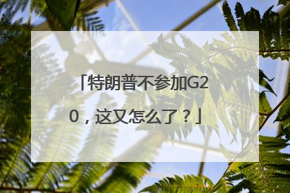 特朗普不参加G20，这又怎么了？