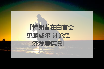 特朗普在白宫会见鲍威尔 讨论经济发展情况