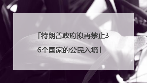 特朗普政府拟再禁止36个国家的公民入境