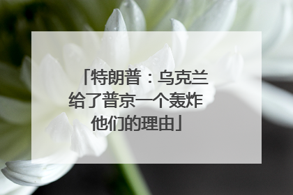 特朗普：乌克兰给了普京一个轰炸他们的理由