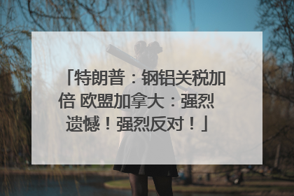 特朗普：钢铝关税加倍 欧盟加拿大：强烈遗憾！强烈反对！