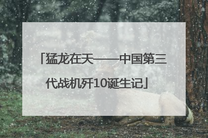 猛龙在天——中国第三代战机歼10诞生记