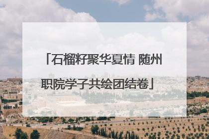 石榴籽聚华夏情 随州职院学子共绘团结卷