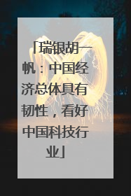 瑞银胡一帆：中国经济总体具有韧性，看好中国科技行业