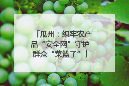 瓜州：织牢农产品“安全网”守护群众“菜篮子”