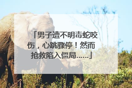 男子遭不明毒蛇咬伤，心跳骤停！然而抢救陷入僵局……