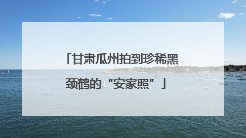 甘肃瓜州拍到珍稀黑颈鹤的“安家照”