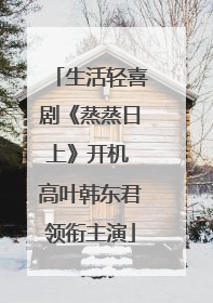 生活轻喜剧《蒸蒸日上》开机 高叶韩东君领衔主演