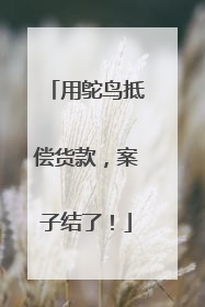 用鸵鸟抵偿货款，案子结了！