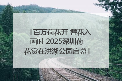 百万荷花开 簪花入画时 2025深圳荷花赏在洪湖公园启幕