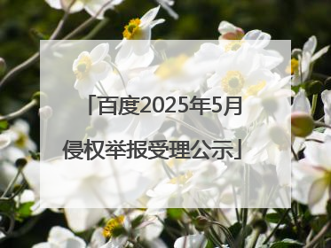 百度2025年5月侵权举报受理公示