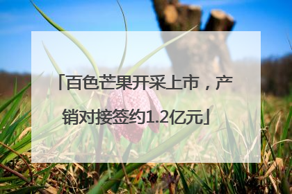 百色芒果开采上市，产销对接签约1.2亿元