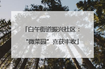 白午街道振兴社区：“微菜园”喜获丰收