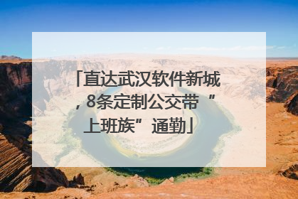 直达武汉软件新城，8条定制公交带“上班族”通勤