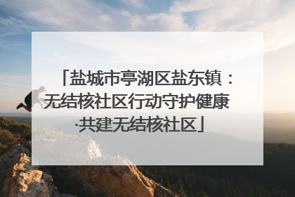 盐城市亭湖区盐东镇：无结核社区行动守护健康 ·共建无结核社区