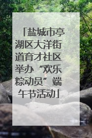盐城市亭湖区大洋街道育才社区举办“欢乐粽动员”端午节活动