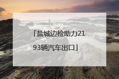 盐城边检助力2193辆汽车出口