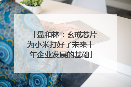 盘和林：玄戒芯片为小米打好了未来十年企业发展的基础