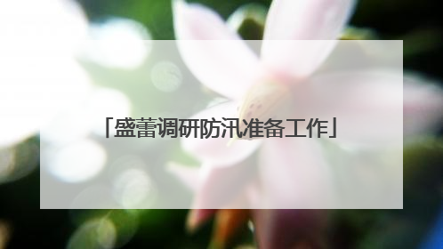 盛蕾调研防汛准备工作