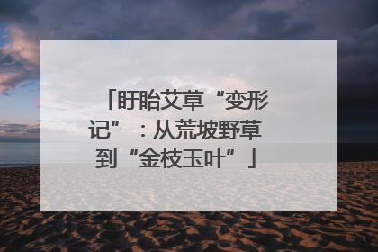 盱眙艾草“变形记”：从荒坡野草到“金枝玉叶”