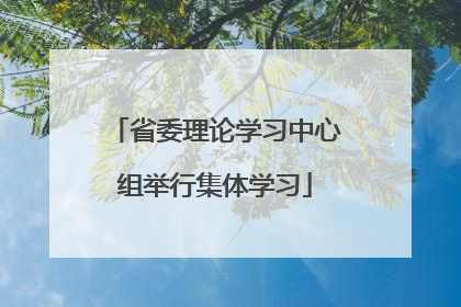 省委理论学习中心组举行集体学习