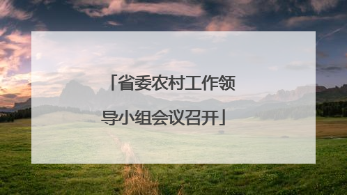 省委农村工作领导小组会议召开