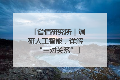 省情研究所｜调研人工智能，详解“三对关系”