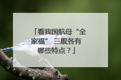 看我国航母“全家福” 三舰各有哪些特点？