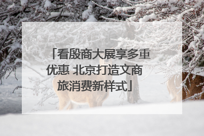 看殷商大展享多重优惠 北京打造文商旅消费新样式