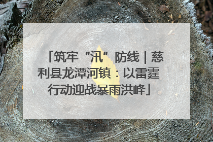 筑牢“汛”防线｜慈利县龙潭河镇：以雷霆行动迎战暴雨洪峰