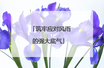 筑牢应对风雨的强大底气